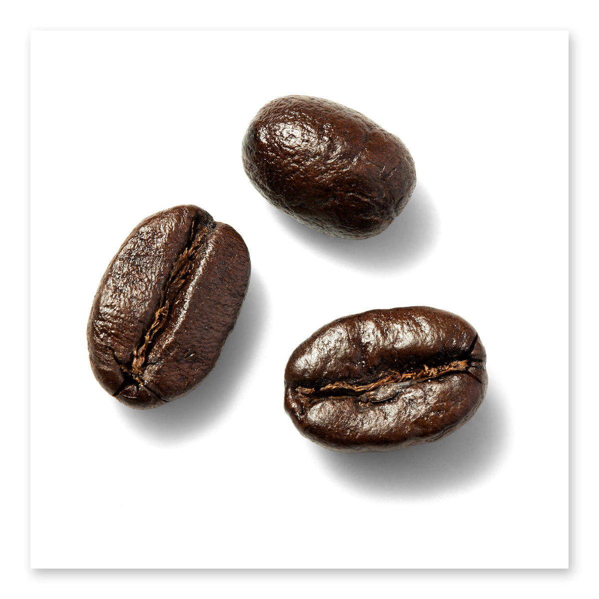 Coffee Bean Light Roast