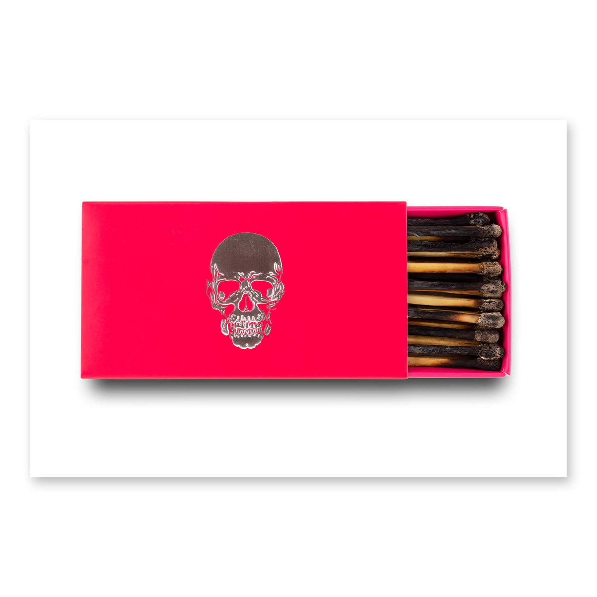 Silver Skull